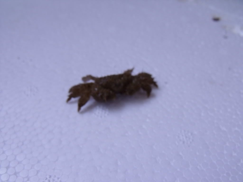 DSCF1663.jpg