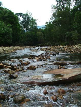SM-sungai.jpg