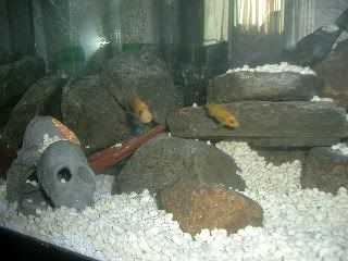 Picture070.jpg