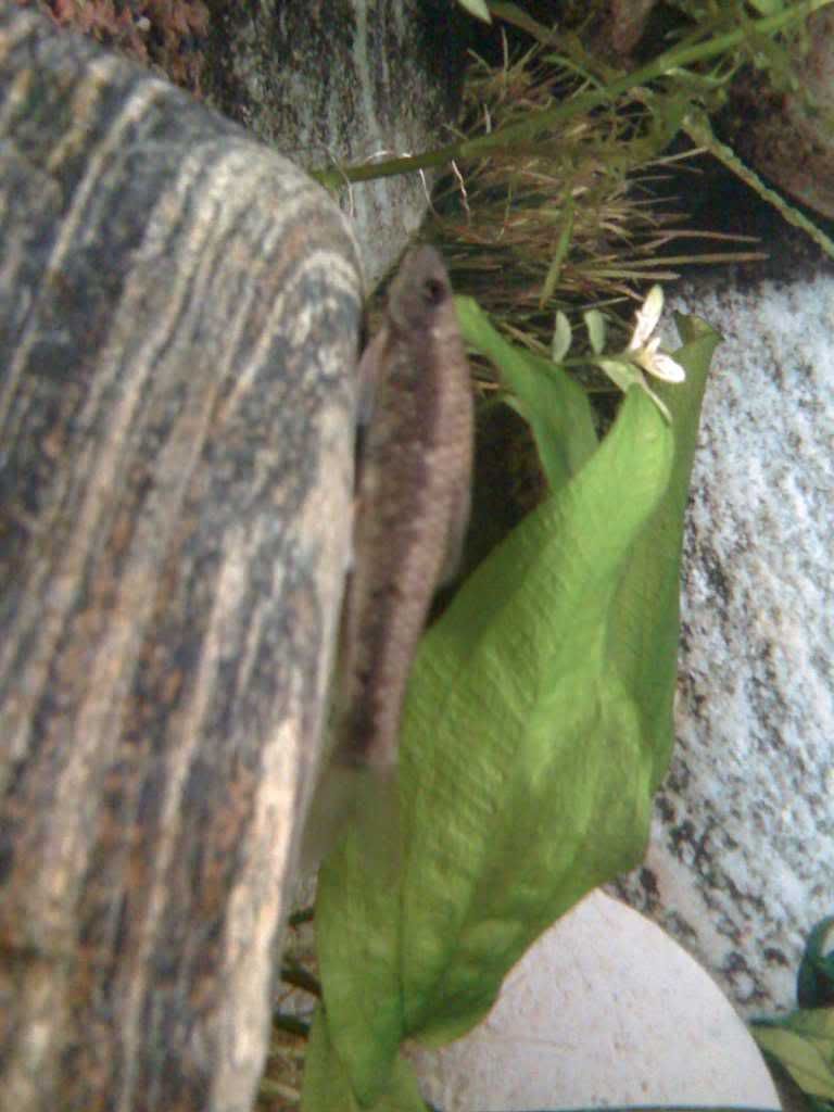 28-01-09_1459.jpg