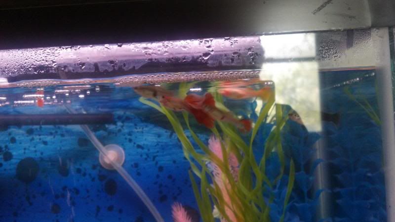 2013-04-06_13-35-17_627-1.jpg