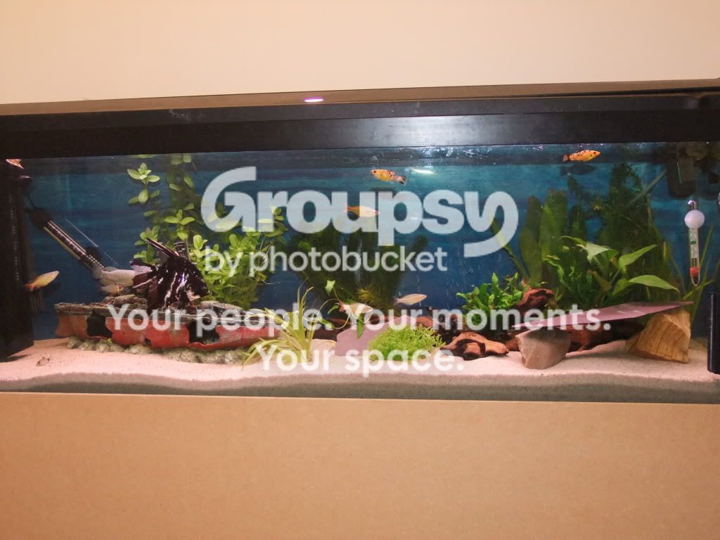 DSCF0781.jpg