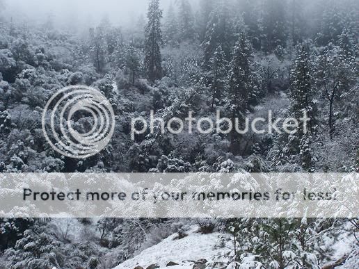 snow9.jpg