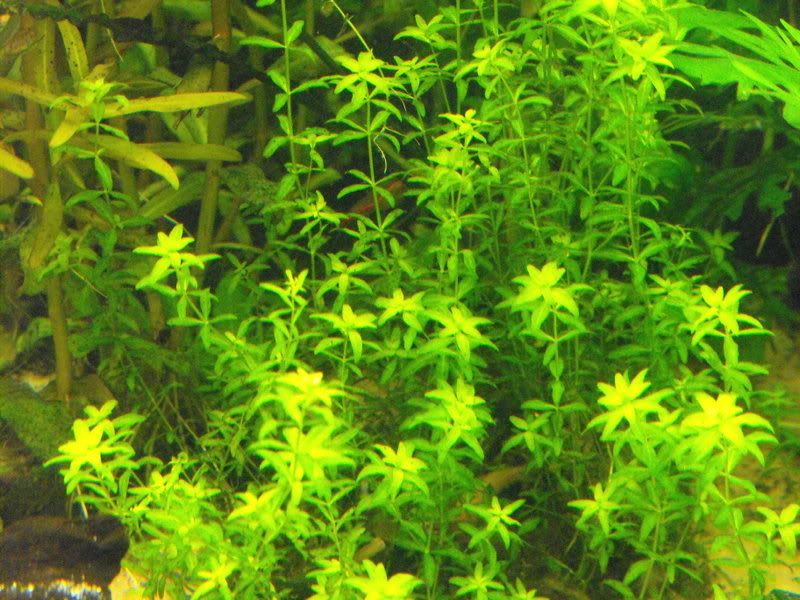 DSCF0216.jpg