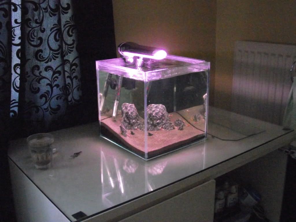 DSCF1354.jpg