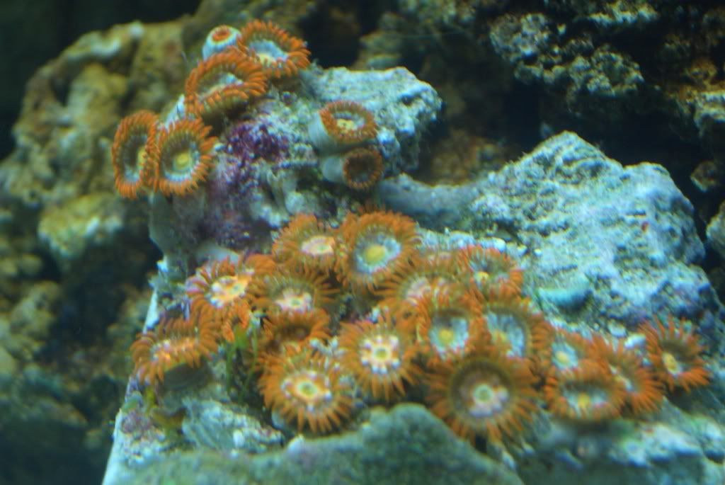 CIMG6601.jpg