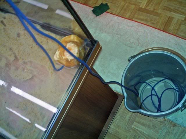 IMAG0004-2.jpg