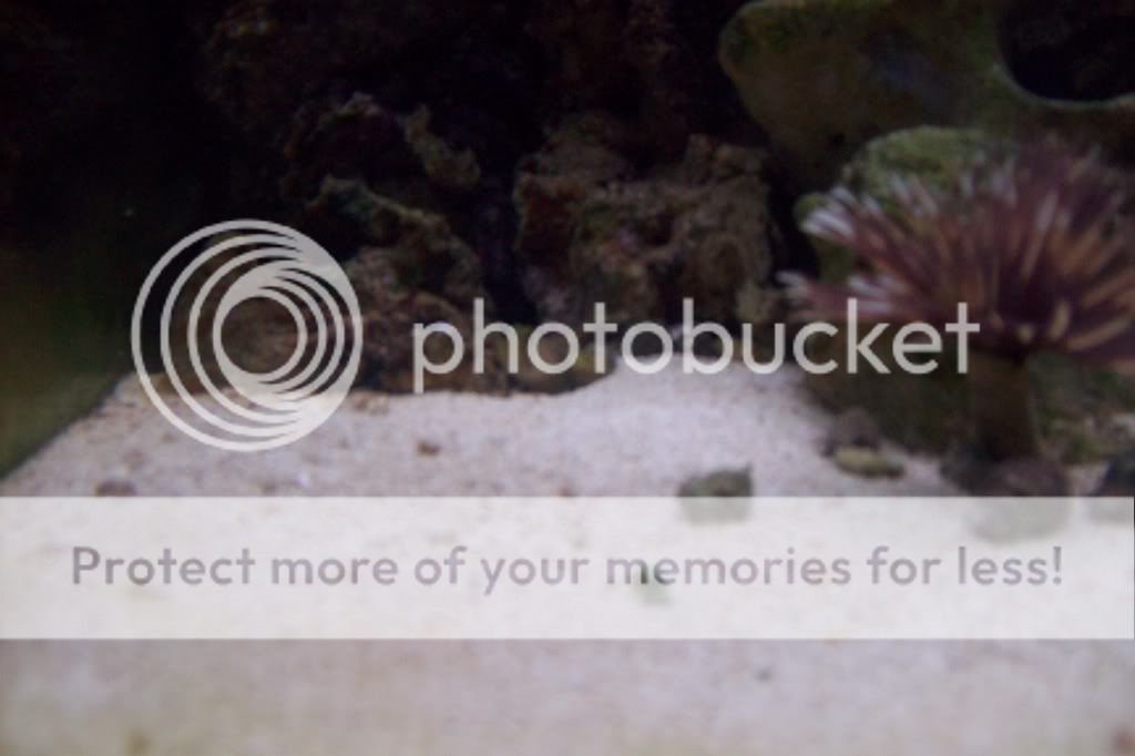 aquarium027.jpg
