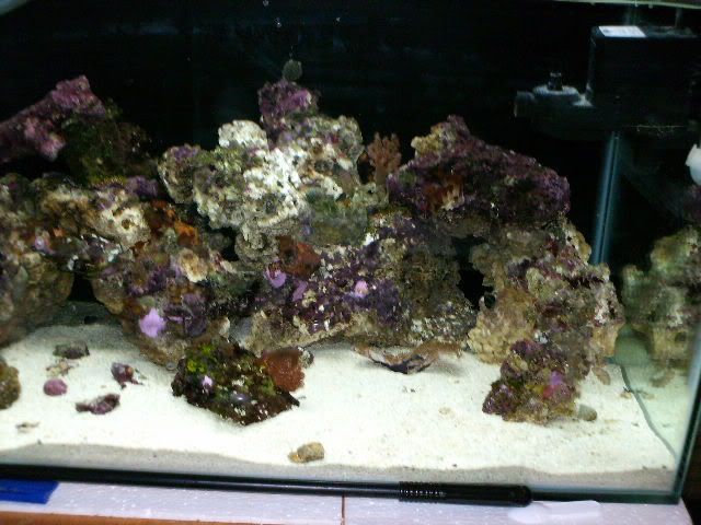 HPIM0226.jpg