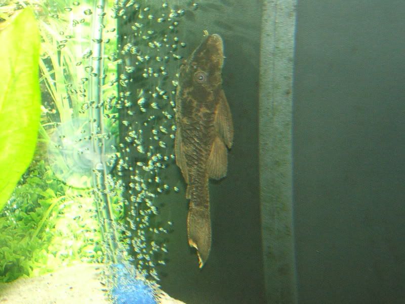 DSCF1119.jpg