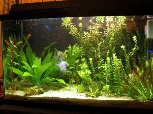 DSCN1518.jpg