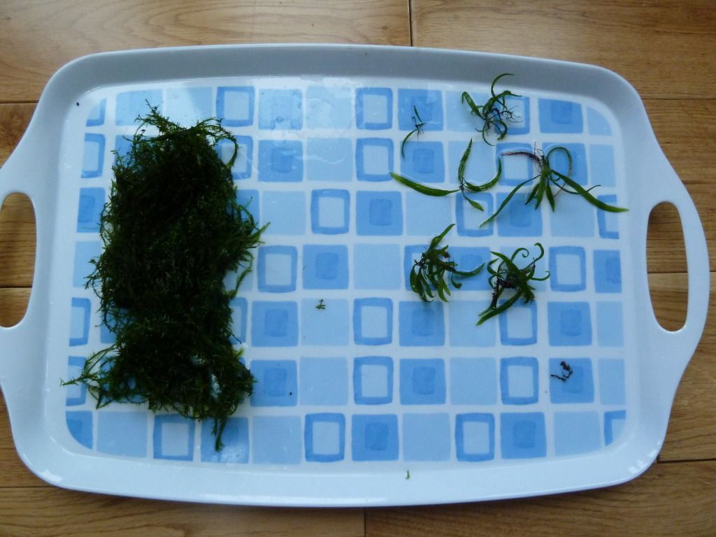 P1010448.jpg