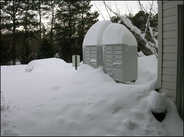 Snow12-20-091.jpg