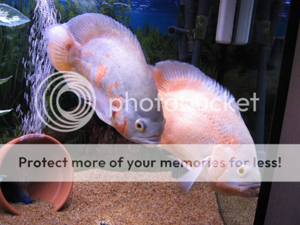 IMG_6359.jpg