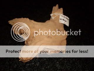 SDC11434.jpg