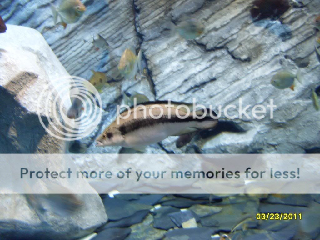 SDC126312.jpg