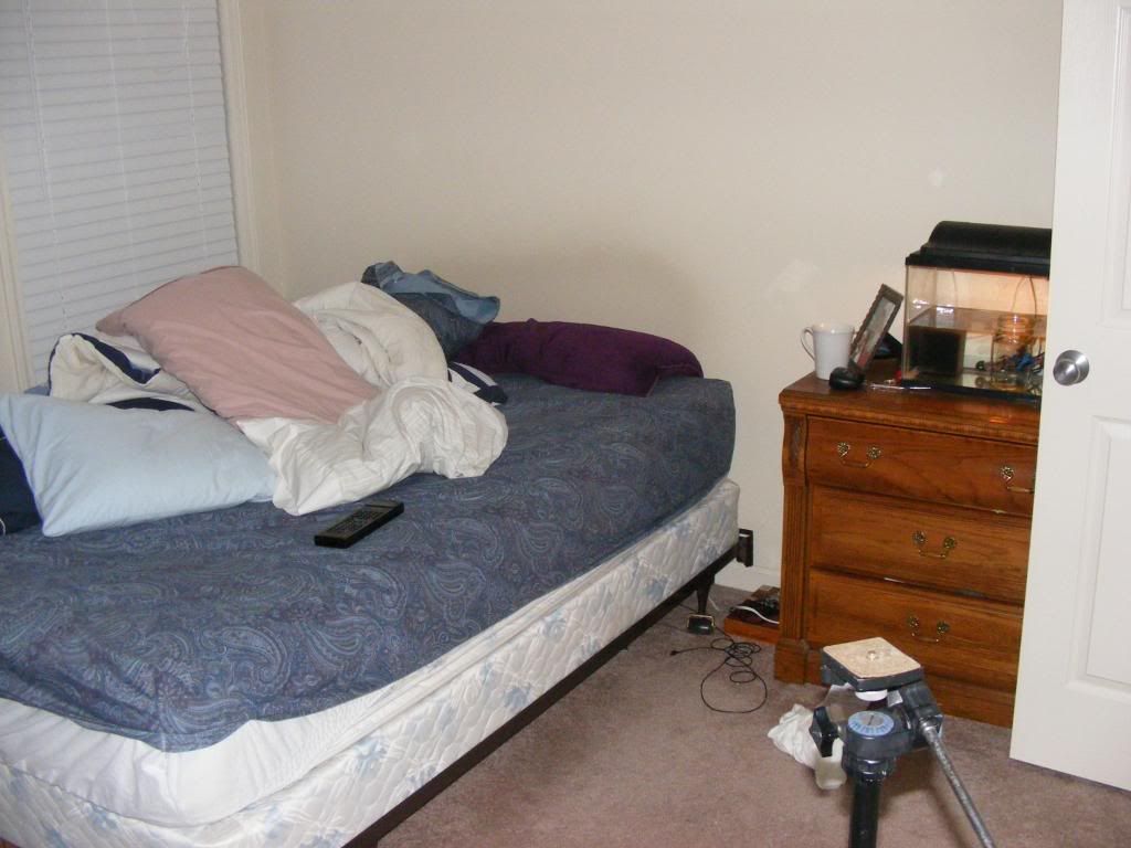 house008.jpg