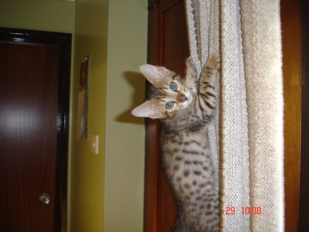 DSC00635.jpg