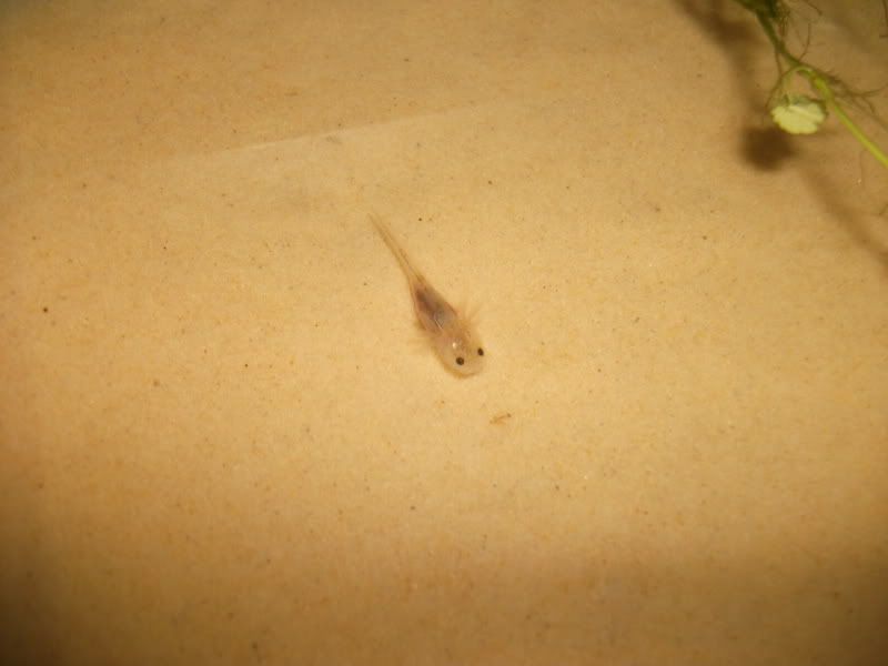 DSCF3514.jpg