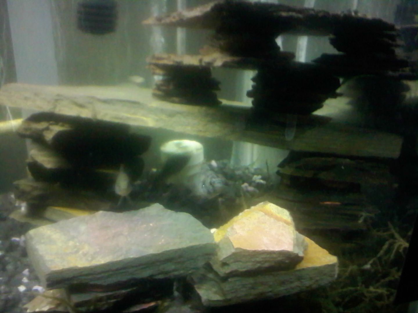 0520090101.jpg