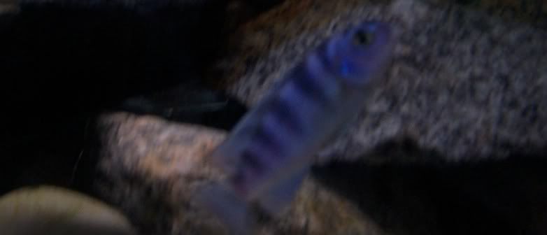 100_09343.jpg