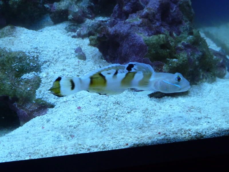 P1010037.jpg