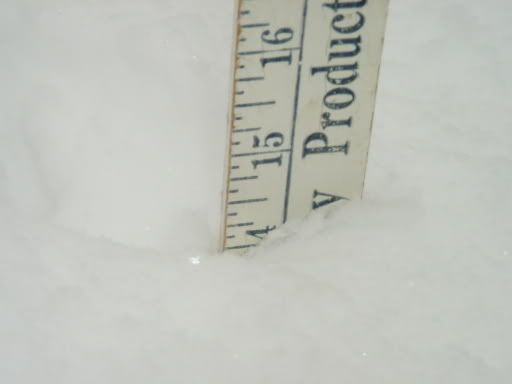3-13-06WinterStorm005.jpg