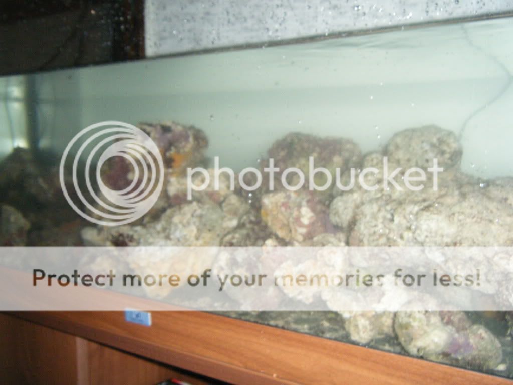 DSCF3271.jpg