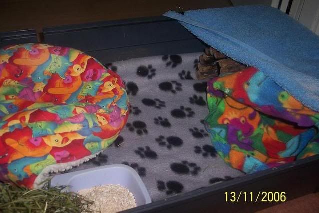 000_3279.jpg