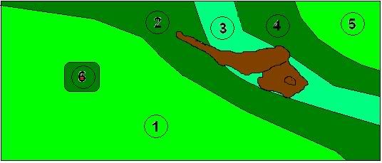 plantlayout.jpg