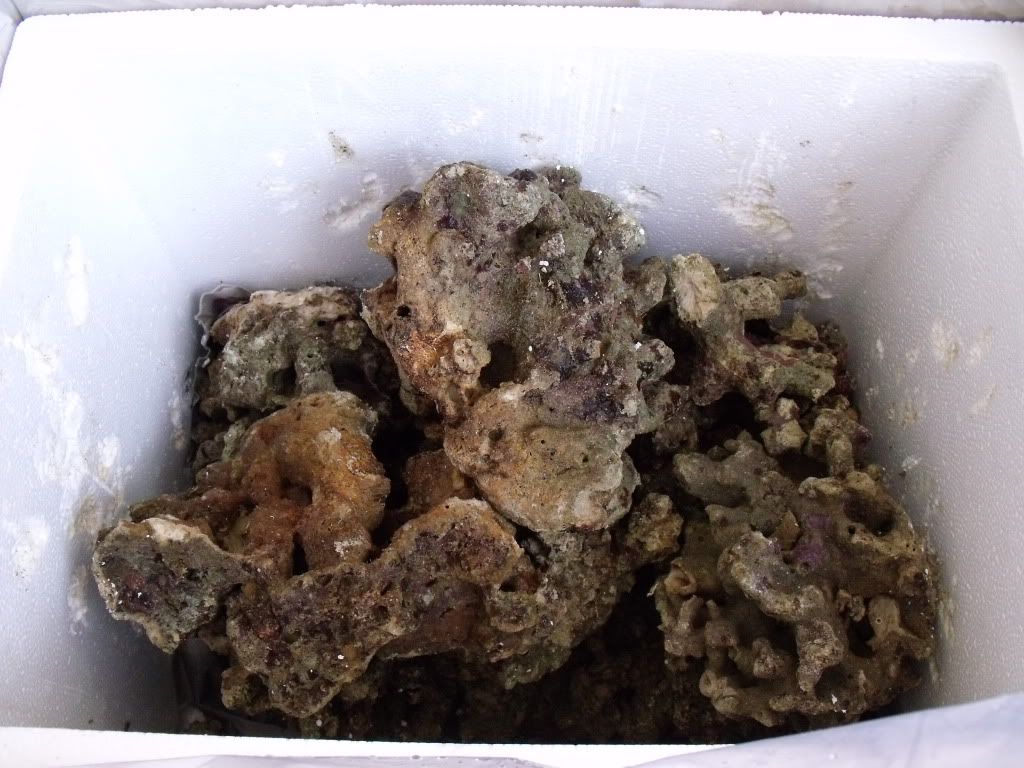 DSCF1659.jpg
