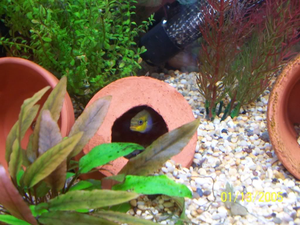 100_3056.jpg