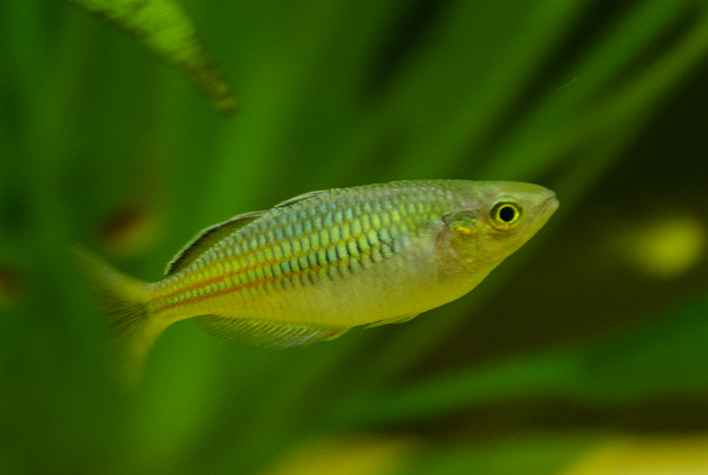DSC_7349_zps19b5e3a6.png
