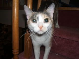 DSCF1357.jpg