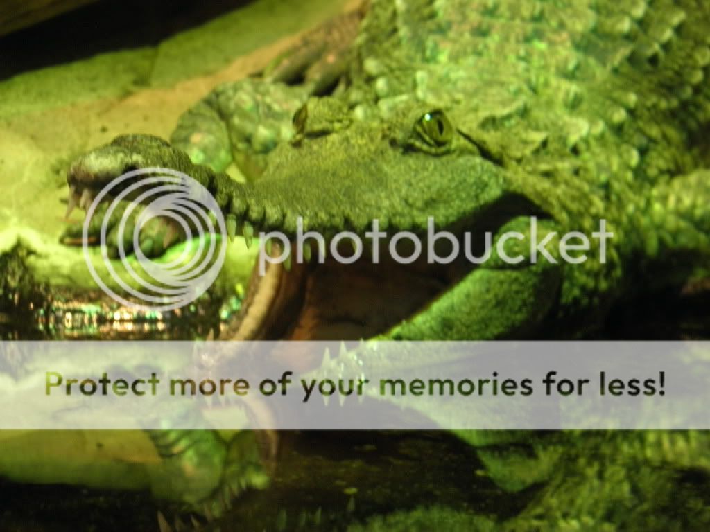 Aquarium10.jpg