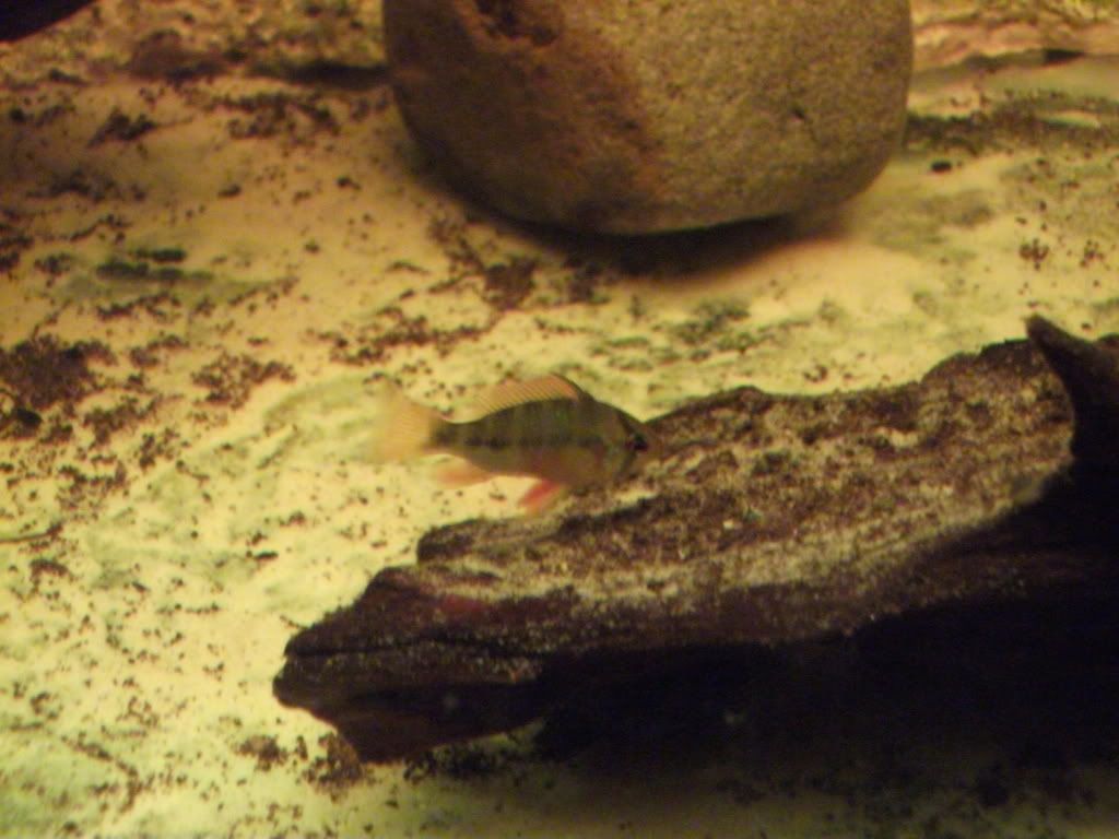 DSCF0519.jpg