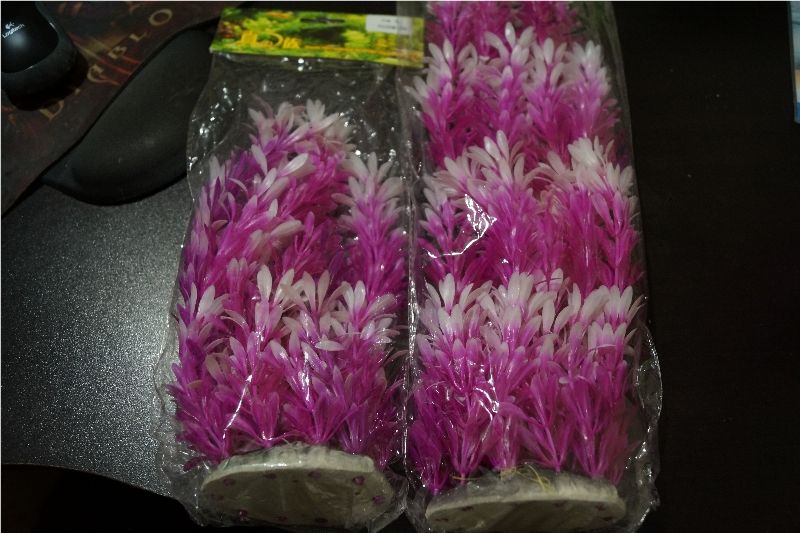 pinkplants.jpg