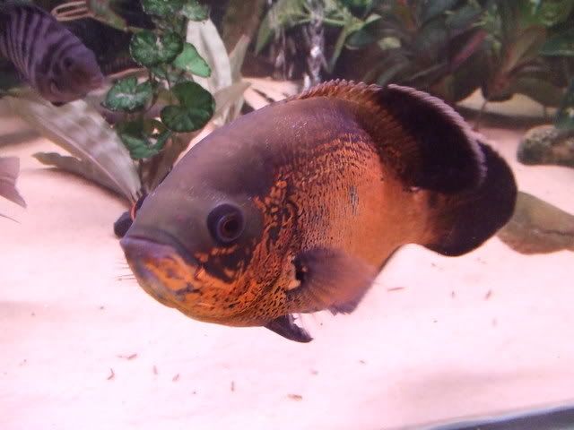 2006_0101First0014.jpg