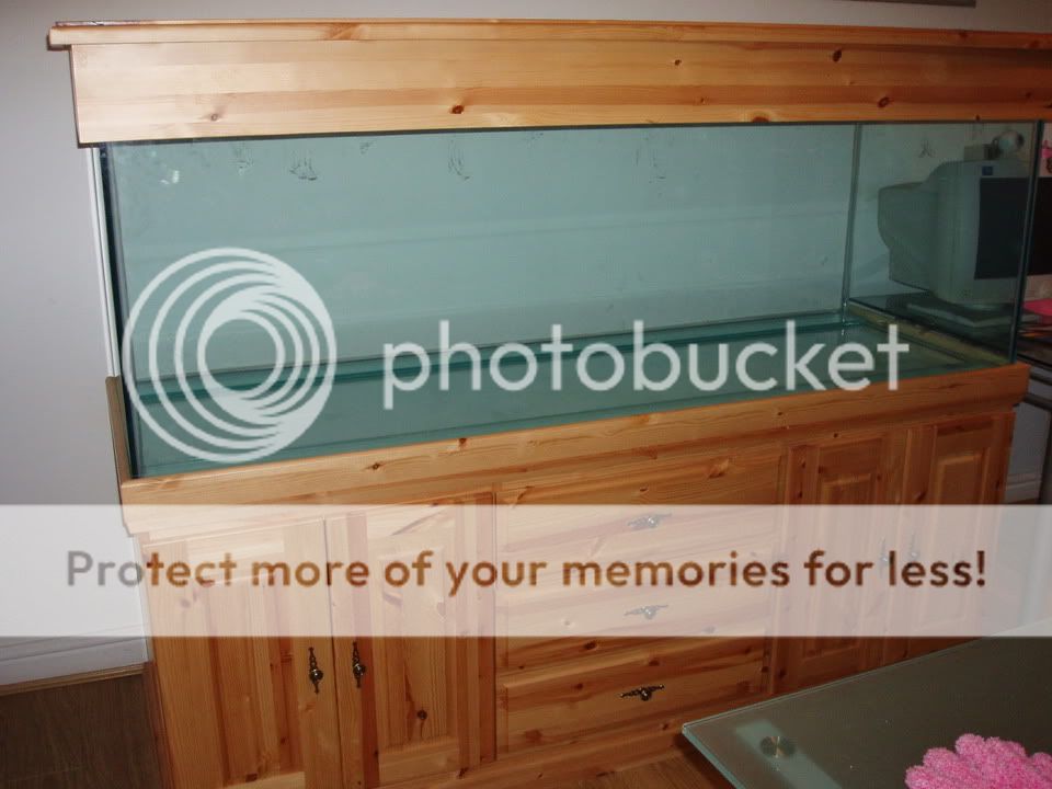 PB140007.jpg