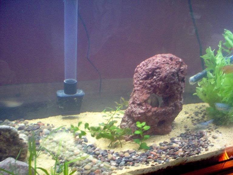 1-21-08midtank.jpg