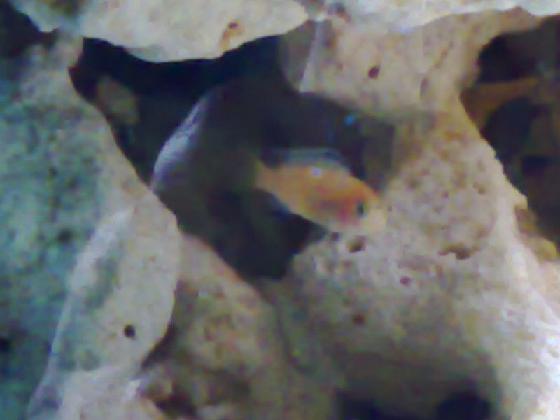 28052007011.jpg