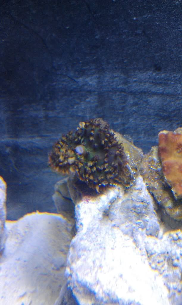 IMAG0551.jpg