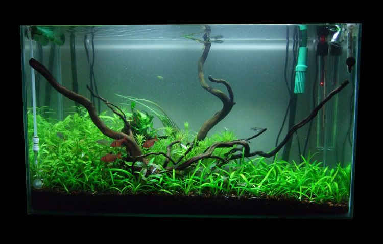 Frontresize-1.jpg