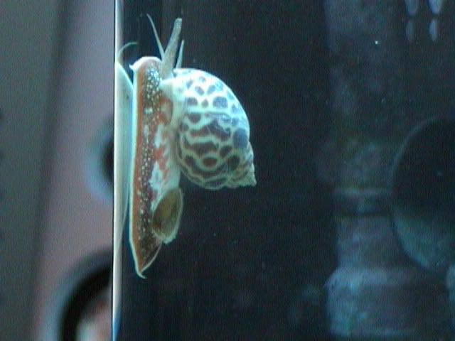 DSC00045.jpg