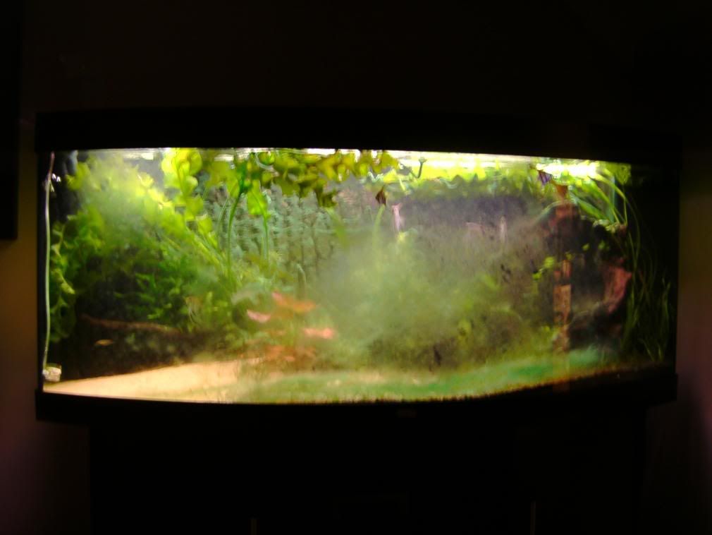 IMAG0015-3.jpg