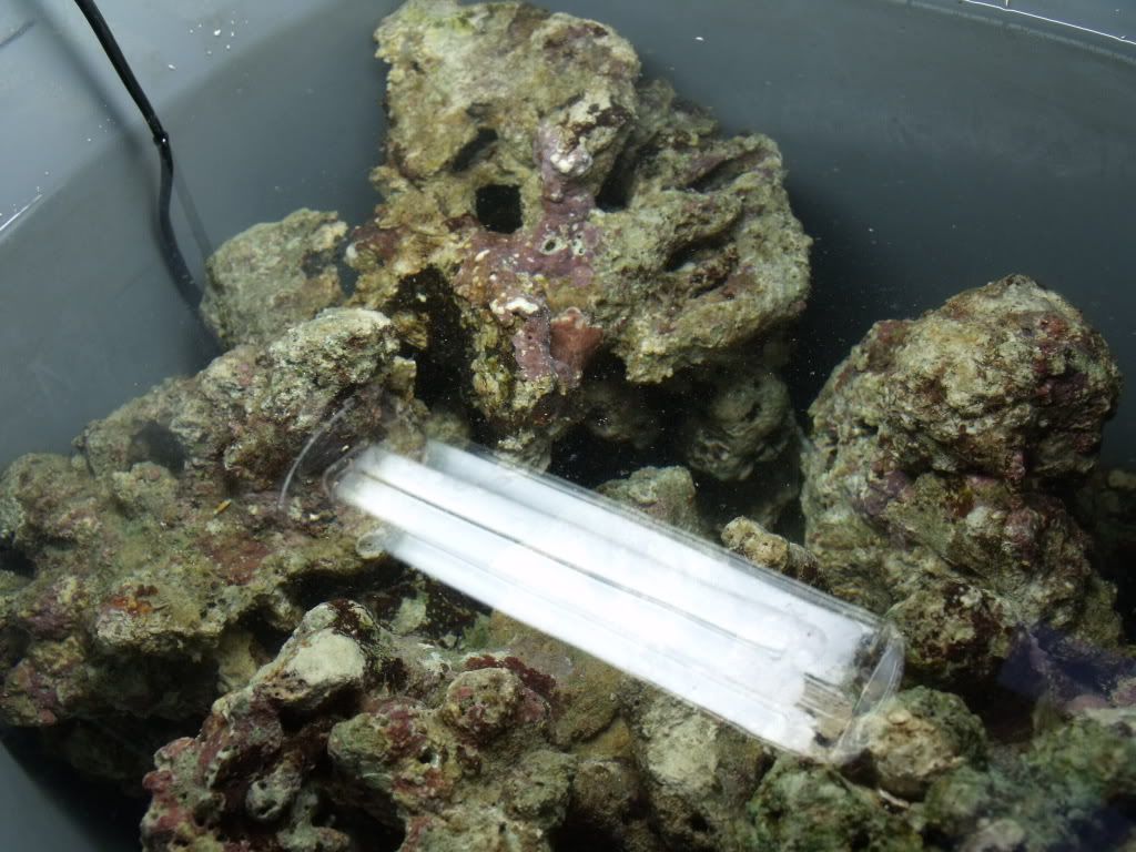 DSCF1665.jpg