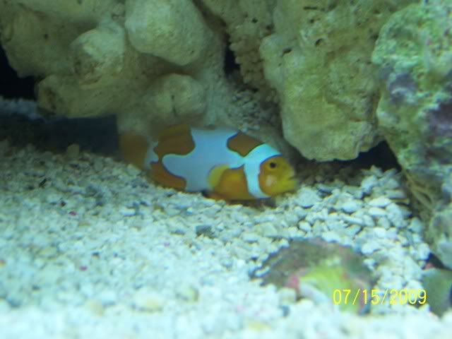 100_7270.jpg