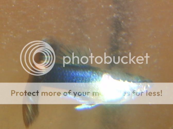S5005357.jpg