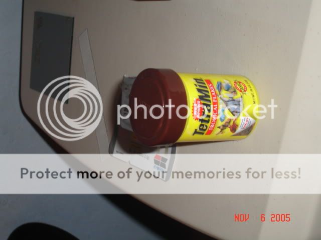 DSC02800.jpg