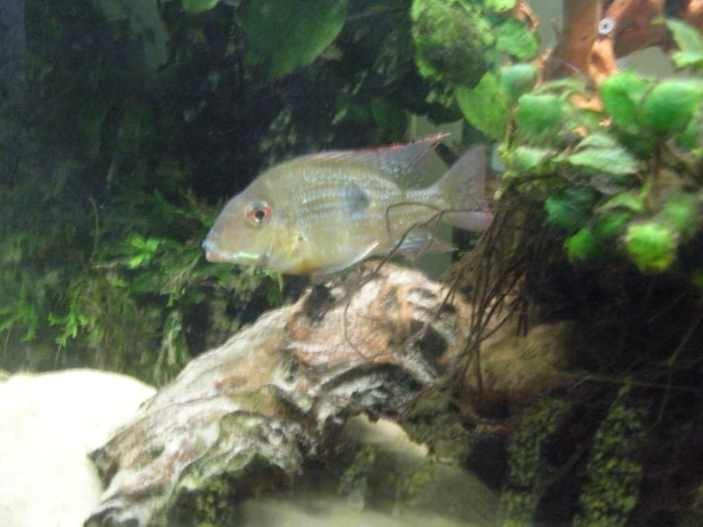DSCN0106.jpg